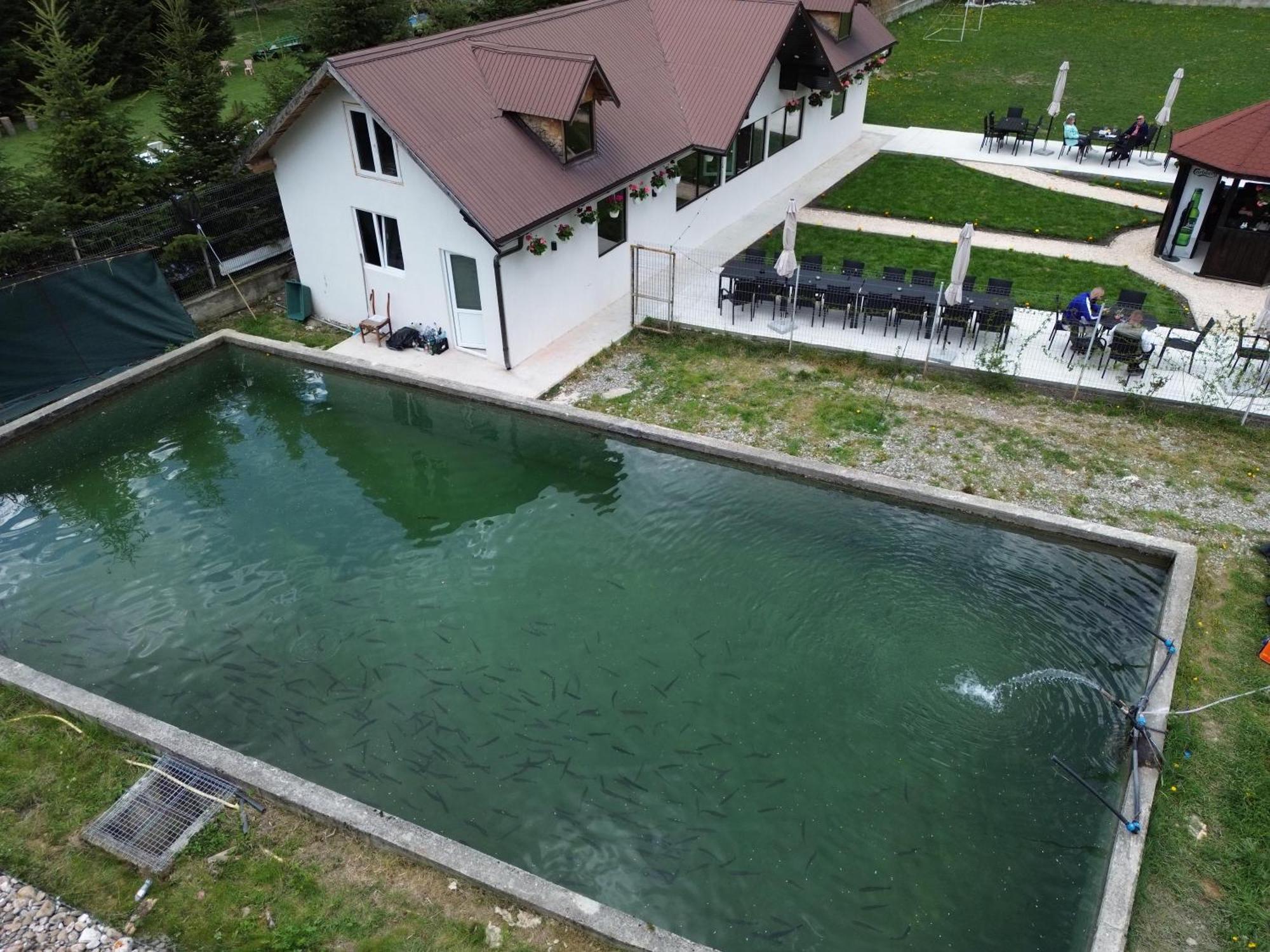 Cabana Izvoarele Doftanei Traisteni Luaran gambar